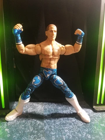 WWE MATTEL ULTIMATE EDITION HBK CUSTOM SHAWN MICHAELS LADDER MATCH Cover