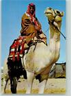 10286010 - Beduin on his camel Motiv Israel