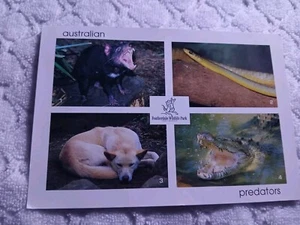 AUSTRALIA-(-ND-)-WILDLIFE , AUSTRALIA-POSTCARD TO British Columbia,CANADA-# 48 - Picture 1 of 2
