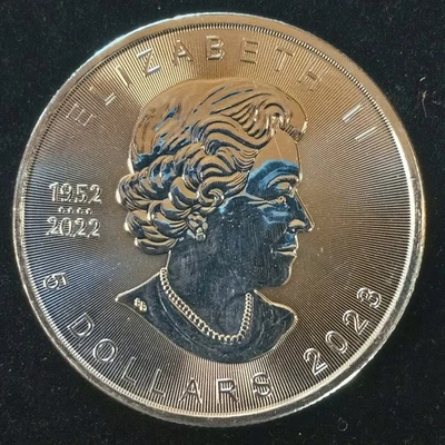 Hoja de arce canadiense plateada 2022. Foto 1 de 2