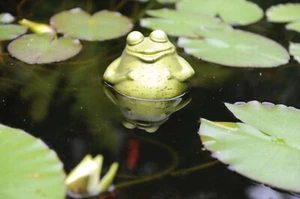 Frosch 12x13,5 cm aus grünem Glas schwimmend als Teich Deko - Deko Vogeltränke - Bild 1 von 2
