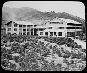 DARJEELING TEA STORES UM 1900 FOTO Magic Lantern Slide INDIEN - Bild 1 von 3