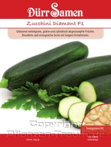 Zucchini Diamant F1 Gemüsesamen Samen von Dürr Samen Zucchinisamen Top - Bild 1 von 1