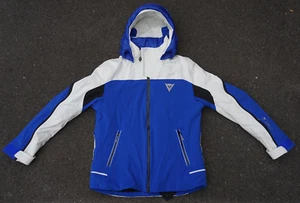 Dainese Ski Jacket, Large, Blue & White, Goretex & Primaloft, Vintage MP3 Era - Picture 1 of 24