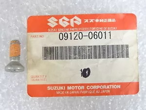 Suzuki NUEVO DE LOTE ANTIGUO 09120-06011 Tornillo 6x17.5 DR RM RMX - Imagen 1 de 2