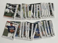 Lot Of 28 2001 San Bernardino Stampede Grandstand Minor League Cards