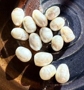 Beads 14 White Pearls Rough Formed Organic Shapes for Crafting or Jewelry Making - Picture 1 of 10