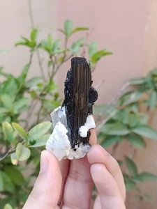 42g Amazing Raw Natural Black Tourmaline Crystal Mineral Specimen - Picture 1 of 19