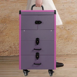 Pro Rolling Aluminum Makeup Train Case Salon Cosmetic Trolley Organizer Box - Bild 1 von 48