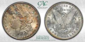 ❤️1885-O Morgan Dollar $1 CAC / CACG MS64 PREMIUM RAINBOW TONED!!!❤️ - Picture 1 of 4