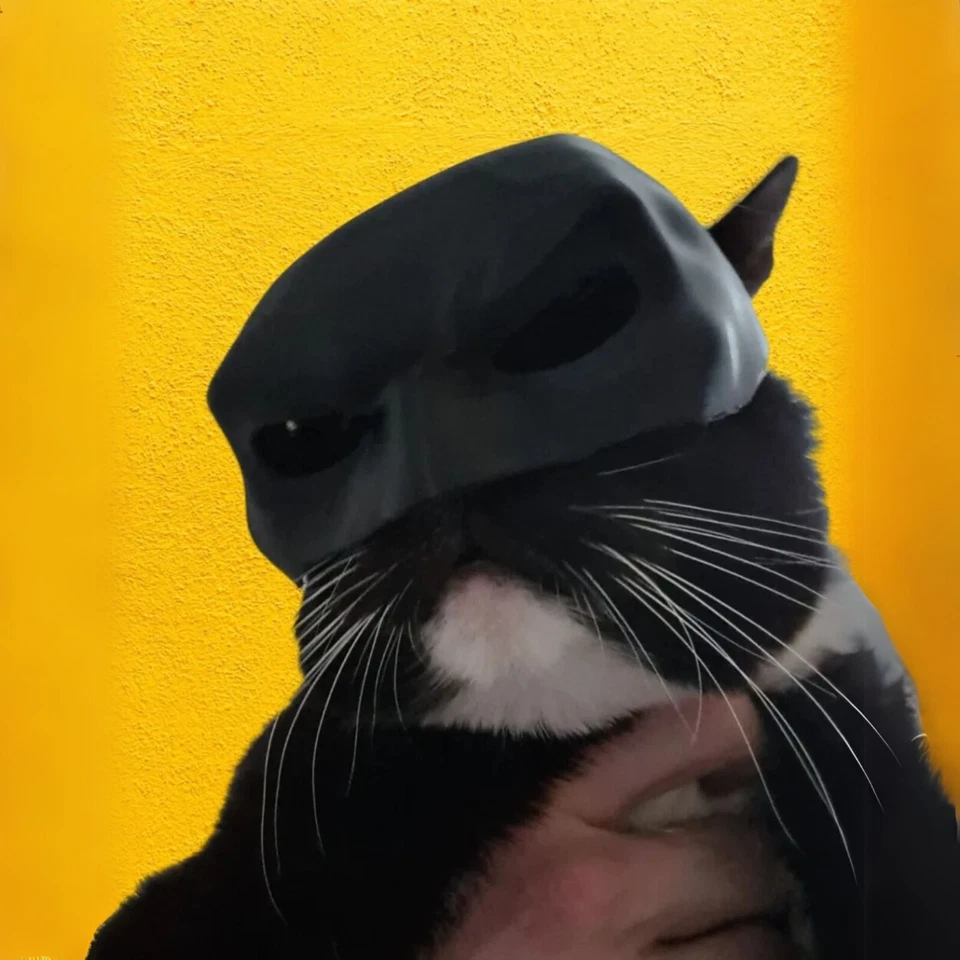 Bat Style Mask for Cat | Funny Pet Costume | Cat Cosplay Hero Hood Accessory - Image 1 of 3