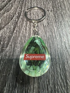 Supreme FW16 Seahorse Keychain Acrylic Teardrop Box Logo Rare Accessory - Picture 1 of 5