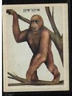 Judaica Izrael stara karta kolekcjonerska orangutan