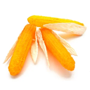 Attrappen 3 Stück Maiskolben, Mais, Mexiko, Gemüse, Deko, Imitat, Requisite - Bild 1 von 1