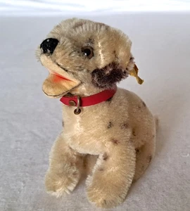 Auflösung:Nachlass.Alter Steiff Hund mit Knopf und Schild-Rarität-Ansehen - Bild 1 von 8