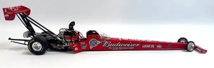 RARE Brandon Bernstein Budweiser NHRA Top Fuel Dragster 1:24 Diecast Ltd Ed - Picture 1 of 9