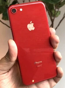 iPhone 8 Apple da 64 GB Grado A+++ ROSSO (Red) - Batteria 100% - COME NUOVO - Foto 1 di 7