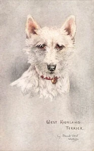 WEST HIGHLAND TERRIER Maud West Watson Postcard + One other card - Picture 1 of 4