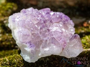 Racimo de cristal crudo AMATISTA - Piedra de nacimiento, regalo único, decoración del hogar boho, 39944 - Imagen 1 de 10
