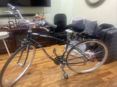 Schwinn 质量 — 第 1/4 张图片