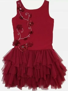 Biscotti Big Girls Elegant Hearts Satin Flowers & Rhinestones Tutu Dress-Size-7  - Picture 1 of 4