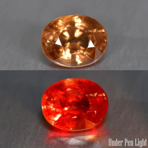 0.98Ct Excellent Cut_100% Natural Color Change Garnet_Tanzania - Picture 1 of 1