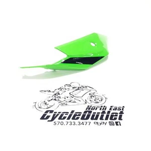2024 21-24 KAWASAKI NINJA ZX10R OEM TRASERO IZQUIERDO TRASERO CARENADO CUBIERTA CUBIERTA - Imagen 1 de 16