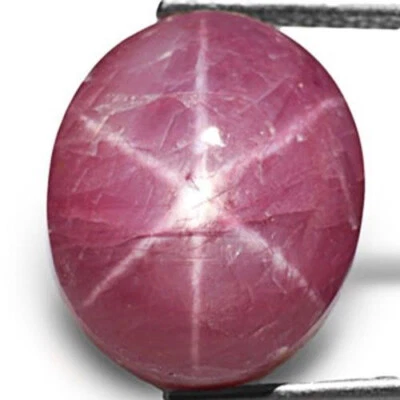 AIGS Certified INDIA Star Ruby 11.08 Cts Natural Untreated Purplish Pink Oval - Image 1 of 3