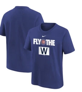 Chicago Cubs Nike Shirt Large - Picture 1 of 1