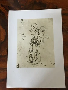 Stampa Leonardo Da Vinci Disegno per una Madonna col Bimbo - Picture 1 of 1