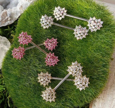 PAR Cristal Pavimentado Extremos Corazón Anillos Pezón Barra Escudos Cuerpo Piercing Joyería Foto 1 de 4