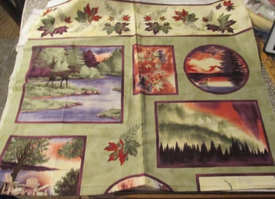 24" x 44" Quilting Sewing Fabric Summer Nights Morthern Lights Holly Taylor Moda - Image 1 of 4