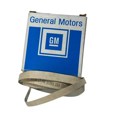 Adesivo adesivo GM OEM NOS 15611582 listra frontal direita para-lama lateral bege claro - Imagem 1 de 3