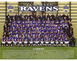 2015 BALTIMORE RAVENS 8x10 TEAM PHOTO PICTURE - Picture 1 of 1