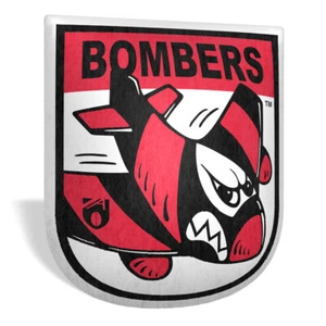 NEW Essendon Bombers Retro Mascot Cushion - Picture 1 of 1