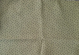 Watermelon Seed on Green Fabric Quilt Club Collection OOP Rare 12 in - Picture 1 of 2