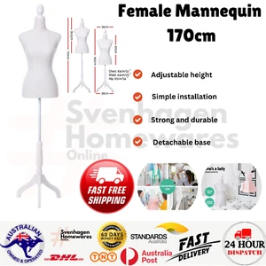 Female Mannequin 170cm Model Dressmaker Clothes Display Torso Tailor Wedding Whi - Picture 1 of 7