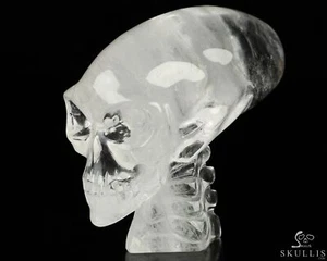 3.5" Quartz Rock Crystal Crystal Elongated Mayan Alien Skull with Spine - Picture 1 of 7