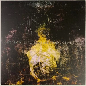 Aegaeon - Exponential Transcendence (LP) (Near Mint (NM or M-)) - 3877176772 - Imagen 1 de 1