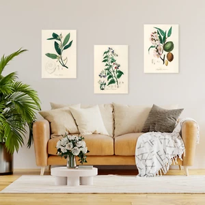 Impresión en lienzo botánico vintage enmarcada A2 A3 A4 lista para colgar regalo decoración del hogar - Imagen 1 de 25