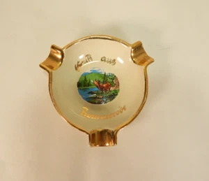 Vintage Souvenir Ashtray Rommerode Germany - Picture 1 of 3