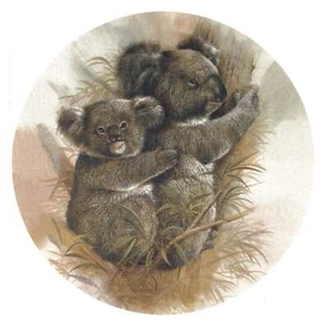 Tree Hugging Koala Bear Overglaze Waterslide Ceramic Decals - Picture 1 of 5