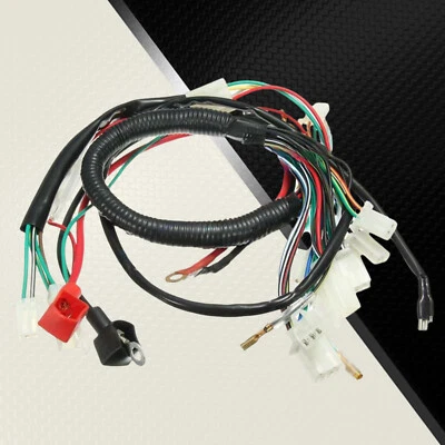 1 Set Quad 4 Wheeler Motorcycle ATV UTV Electric Wiring Harness for 50cc-110ccmG Foto 1 de 4