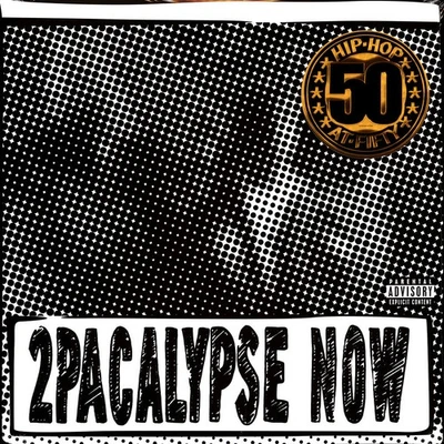 2Pac - 2Pacalypse Now X Joshua Vides Artwork L (Vinyl 2LP - 1991 - CZ - Reissue) - Bild 1 von 2