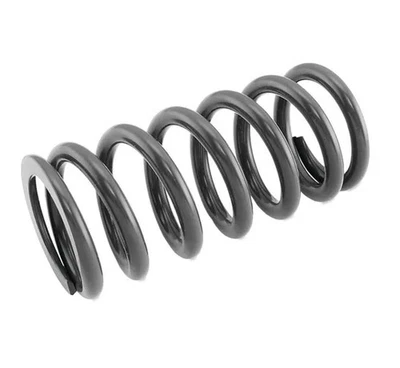 Race Tech Shock Spring 6.3kg for Suzuki DRZ400S 05-24 - Image 1 of 4