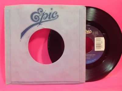 Celine Dion - Where does my heart beat now / Epic 45 RPM 7" Vinyl record Foto 1 de 3