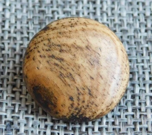 Antique Vtg Bovine Bone Button Aprx: 3/4" #720-Y - Picture 1 of 5