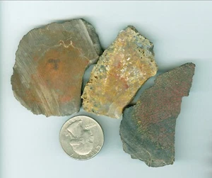 48 grams of Beautiful Natural American Jasper & Dino Bone Slabs Natural rough - Picture 1 of 2