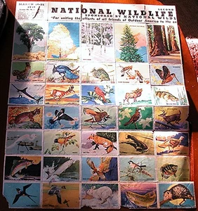 1939 National Wildlife Federation Poster Stamp Collection - 80 Stamps - Picture 1 of 11