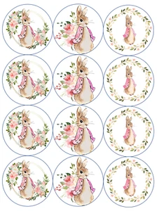 12 Pink Girl Baby Shower Peter Rabbit, edible paper, cupcake cookie toppers - Picture 1 of 2